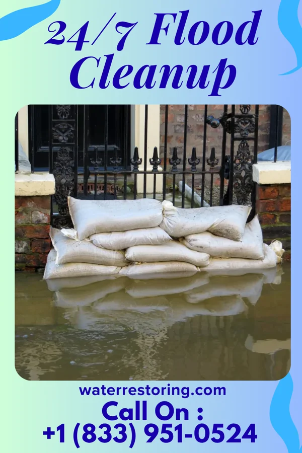 24/7 Flood Cleanup in Virginia, MN