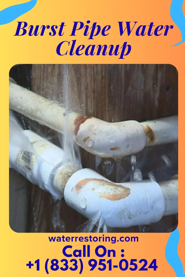 Burst Pipe Water Cleanup in Virginia, MN