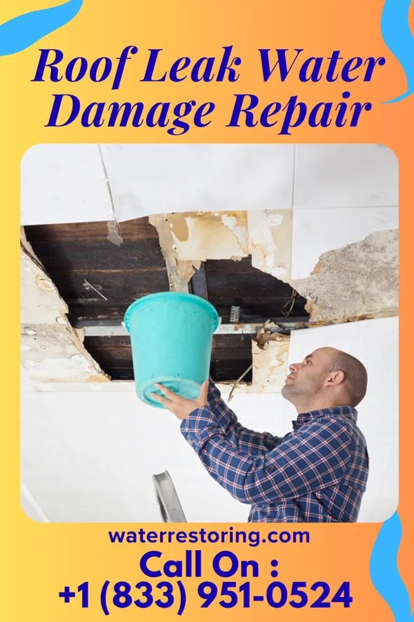 Roof Leak Water Damage Repair in Virginia, MN
