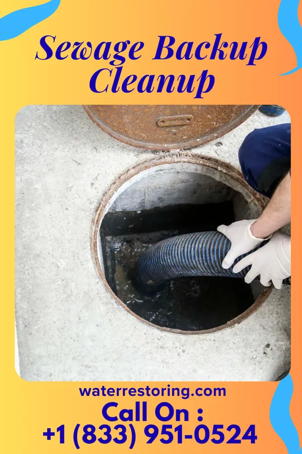 Sewage Backup Cleanup in Virginia, MN