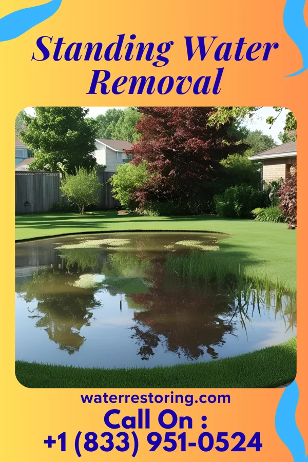 Standing Water Removal in Virginia, MN